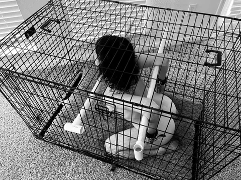 Here is your new life by my side