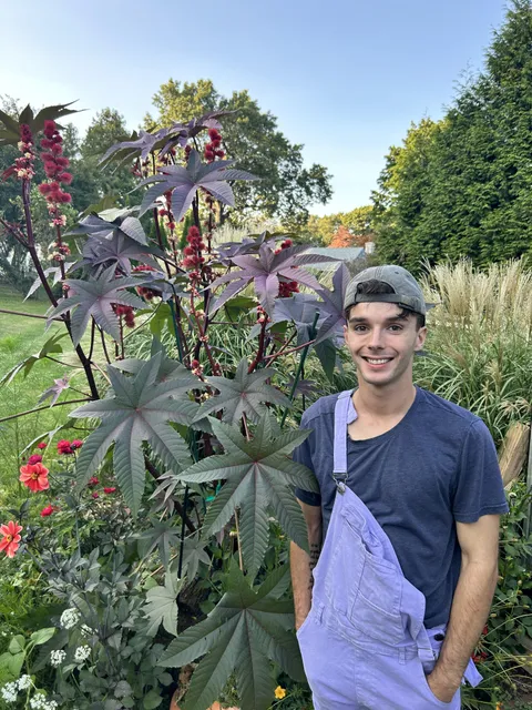 Me with my full size Castor plant I grew from seed ! 