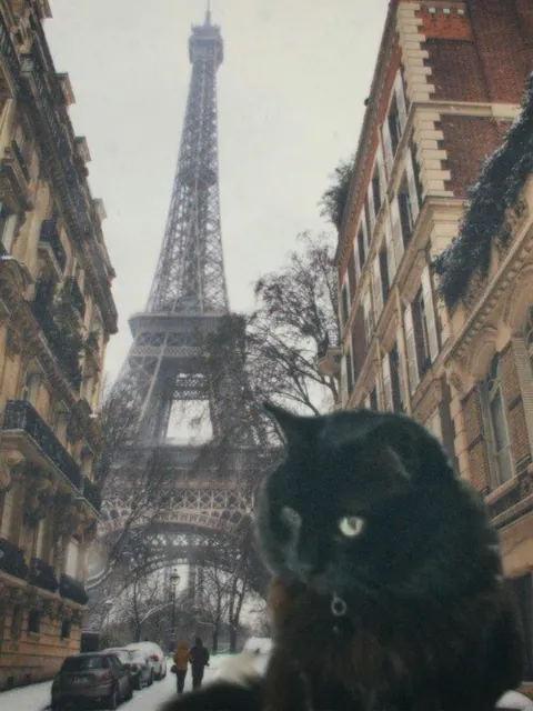 I made a calendar for my gf with edited photos of our void baby and I just needed to share them lol!