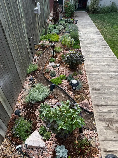 My 2nd year gardening, and I’m proud to share ‘em!