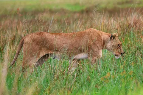 December in Botswana