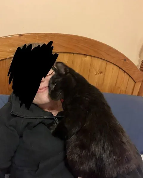 Toblerone was returned to the shelter for being “too needy”, but we love his neediness🖤