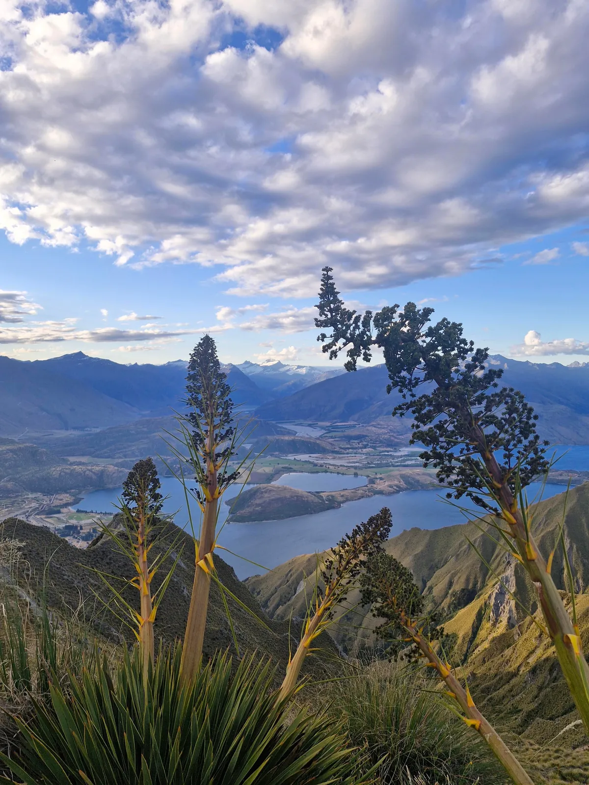 Short &amp; Sweet one week trip to New Zealand 