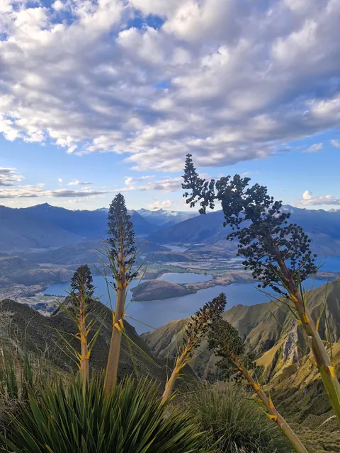 Short &amp; Sweet one week trip to New Zealand 