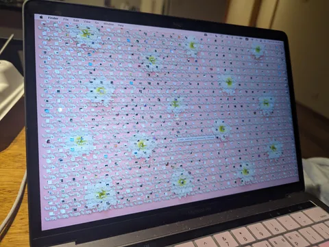 My friend puts all of her icons on her desktop