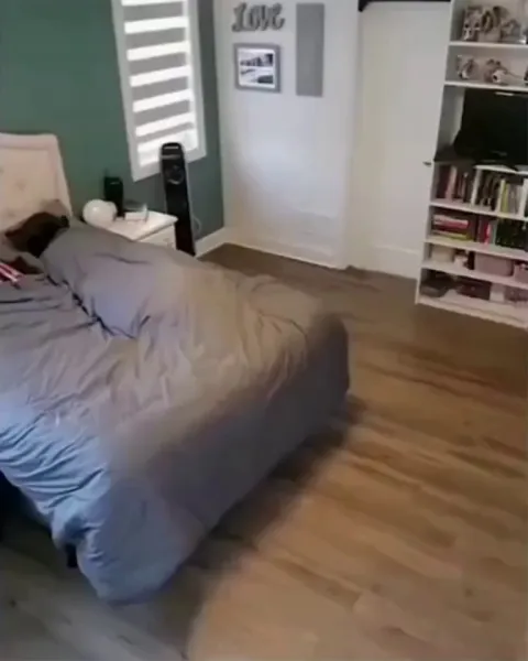 Dad’s been waiting his whole life for this moment 😂