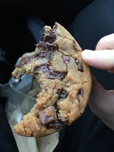 Warm Chocolate Chip Cookie [1024X768]
