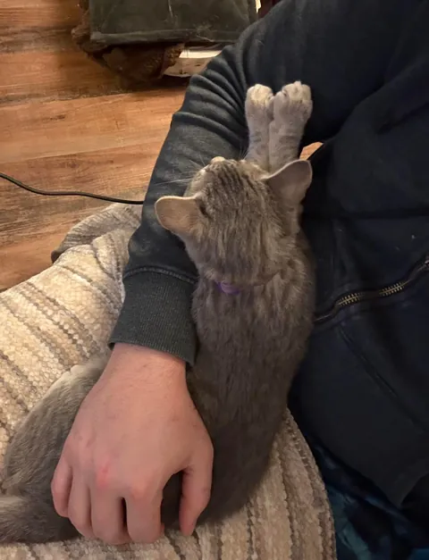 Trespasser found in my backyard!