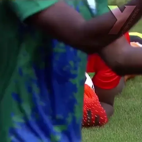 A compilation of Mohamed Kamara (Sierra Leone goalkeeper) and his weird yet great goalkeeping technique that saw him keep a cleansheet &amp; win Man of the Match vs. Algeria today