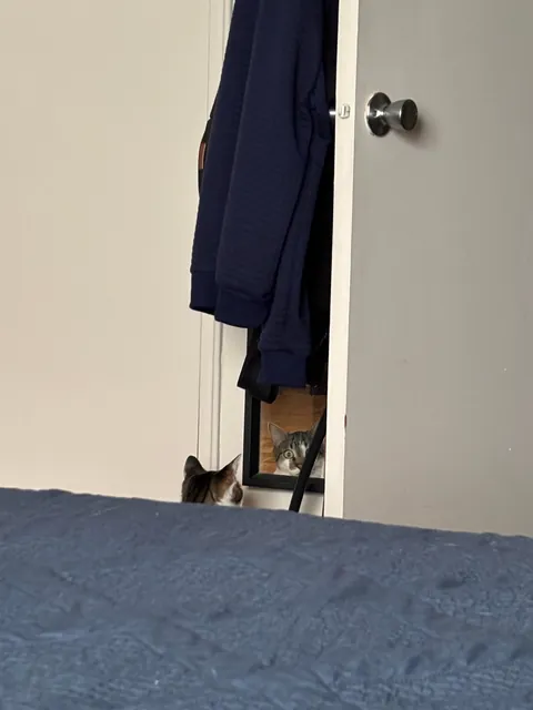 Jack staring at me through a mirror…