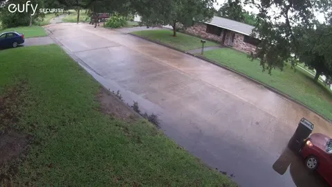 Wasp made a nest in my trash can