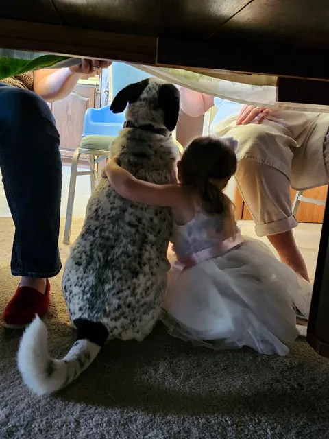 My niece and my dog after Easter dinner (OC)