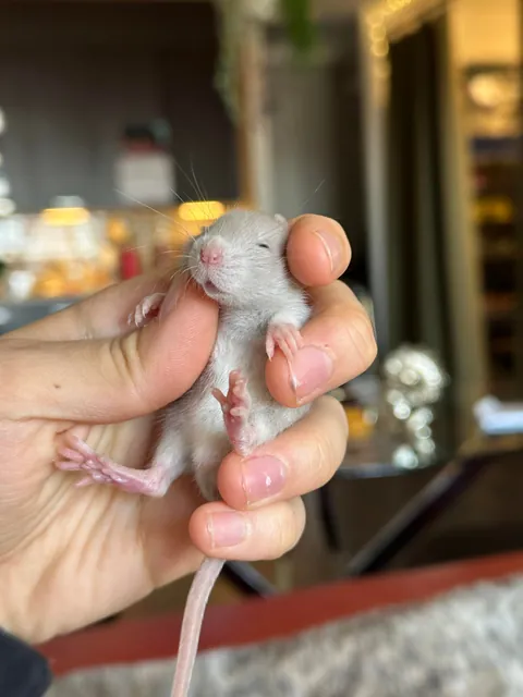 Small palate cleanser for your feed ♥️