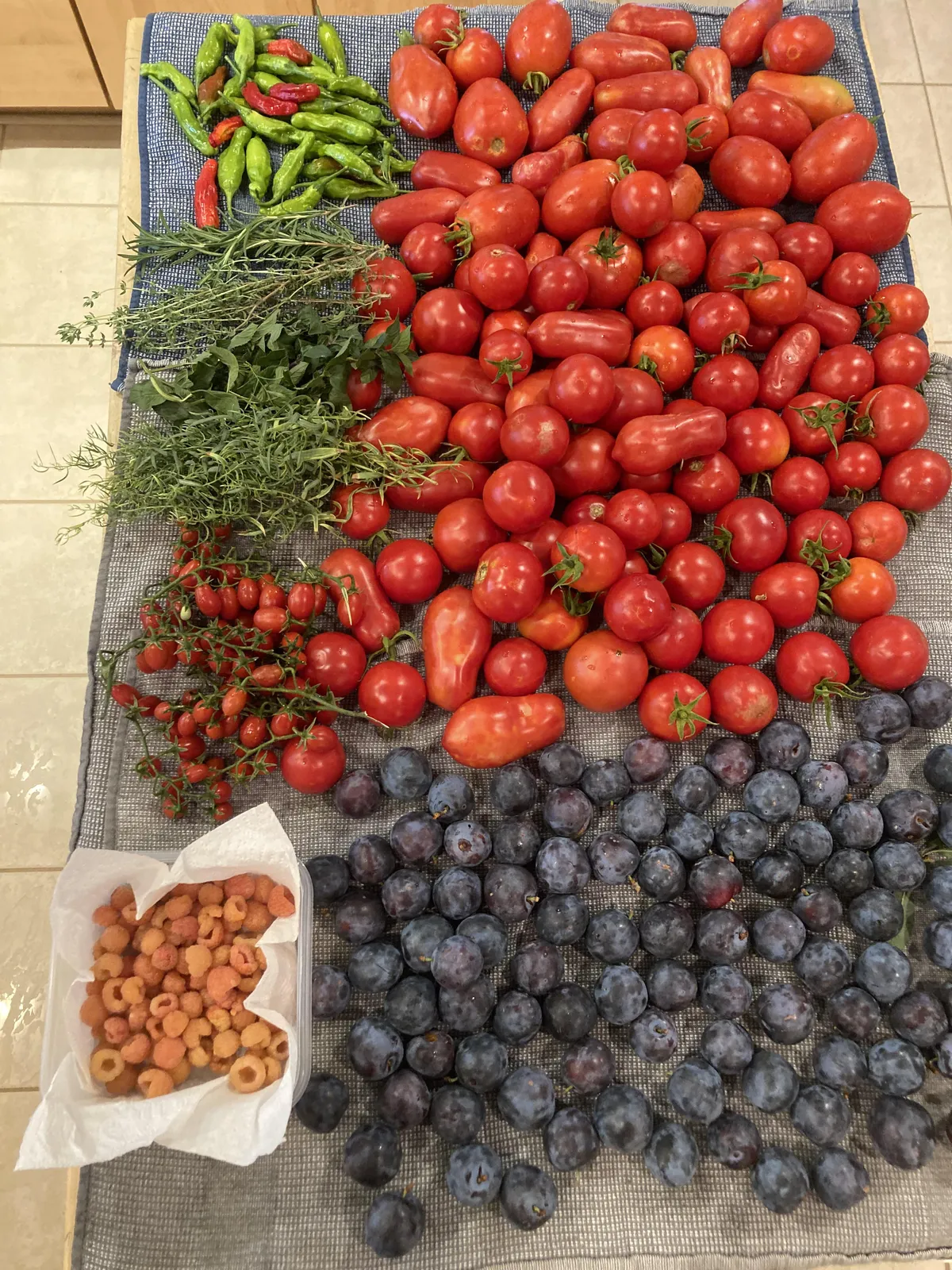 Raided the in laws’ garden