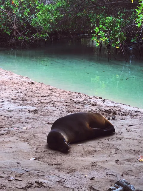 5 days in Galapagos in Sep 2025.