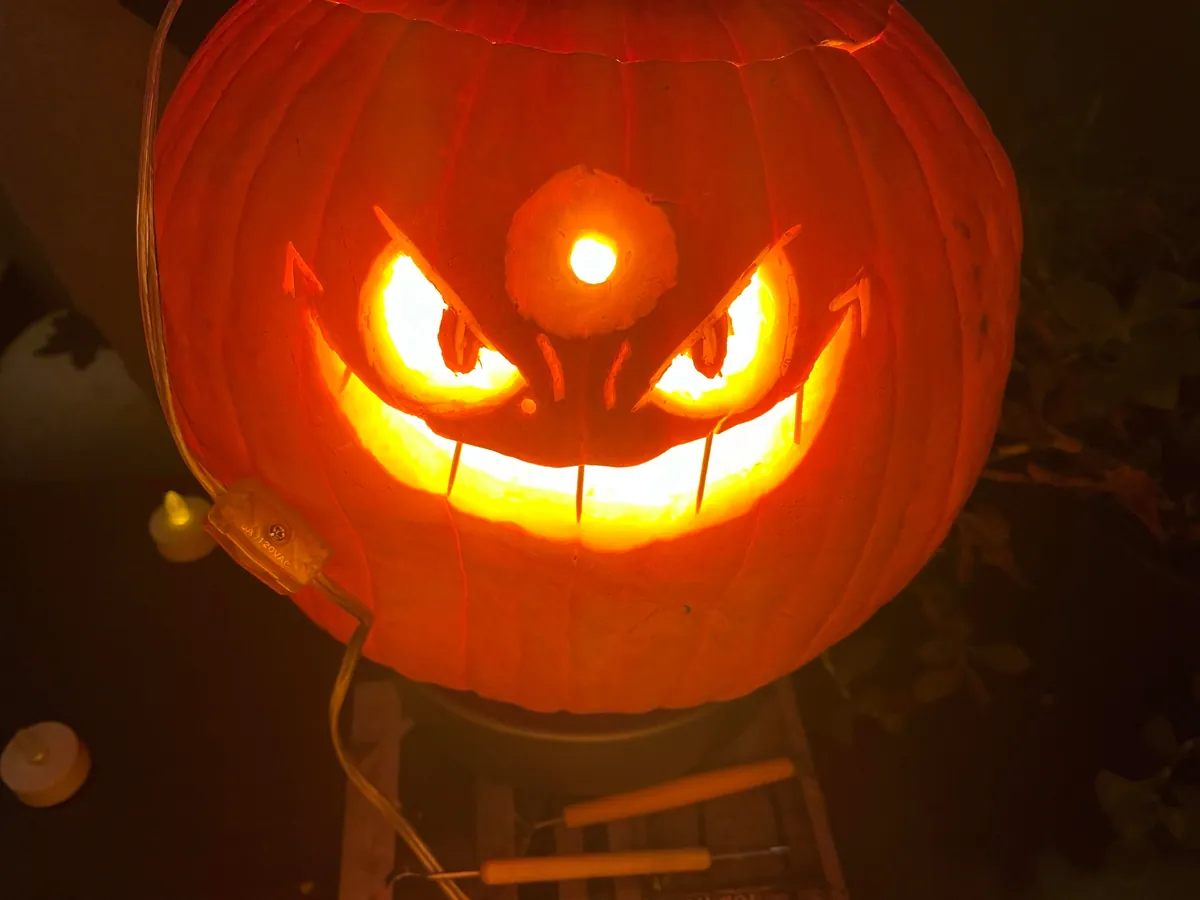 My fiancé is shy about her art and carved the coolest pumpkin I’ve ever seen so I wanted to show it off! 