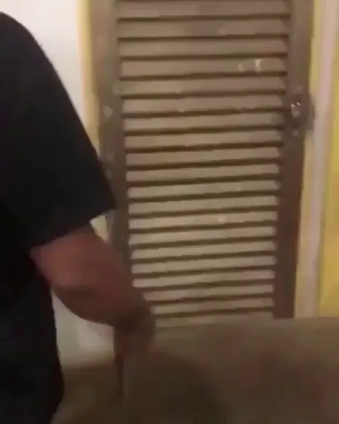 A little girl didn’t expect a cake on her birthday since her dad couldn’t afford one. But he surprised her with just a slice.