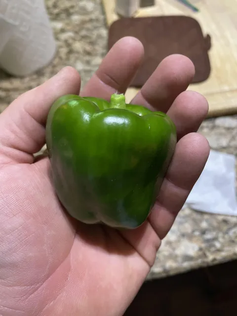 It’s not much but it’s my first vegetable ever grown