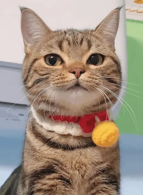 This is the face that gets away with everything