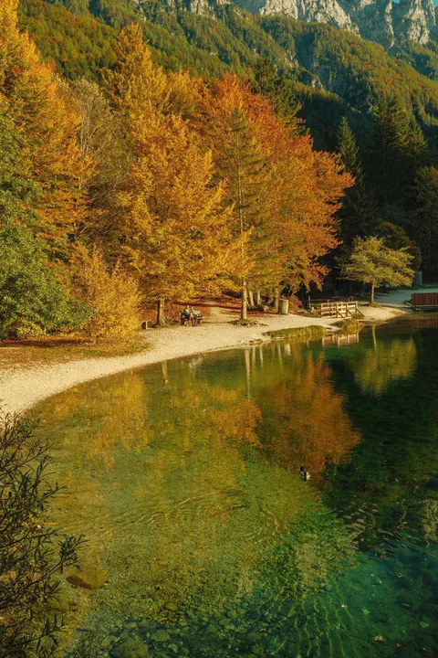 Didn’t know Slovenia was This Pretty in Fall 🍂🏞️