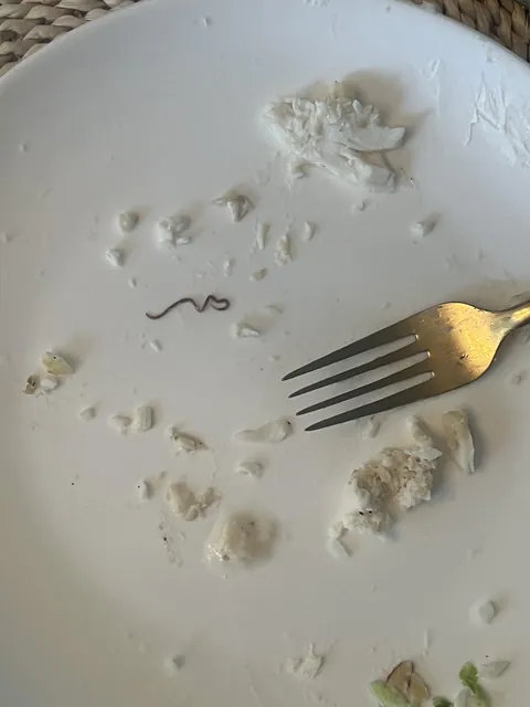 Just finished my fish and found this for dessert🪱