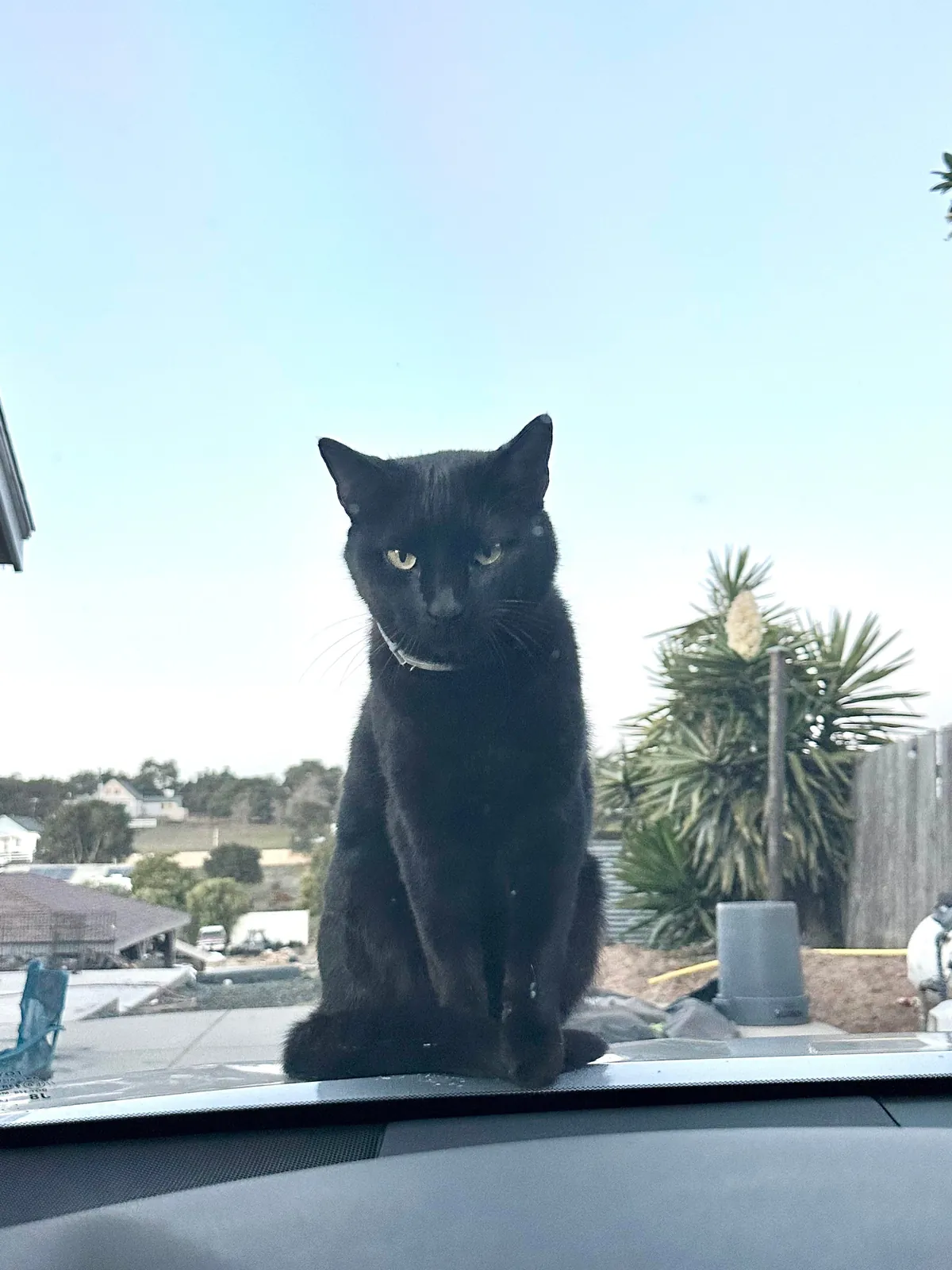 My handsome waiting for me to get out the car 