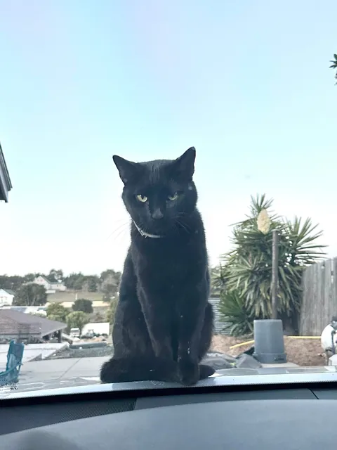 My handsome waiting for me to get out the car 
