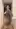 Swipe to see your gym crush undress ;)