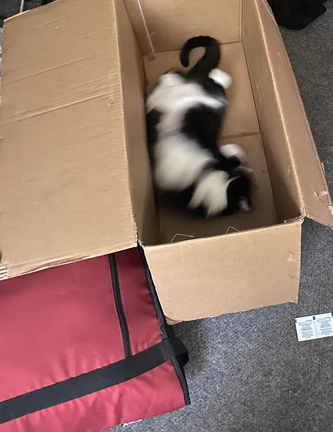 Sake &amp; her box
