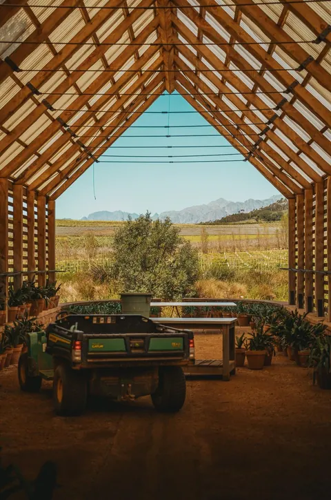 We spent a month in South Africa for our honeymoon. And we'd do it again. 