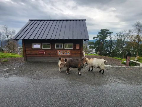 Bergen, Norway is Criminally Underrated!
