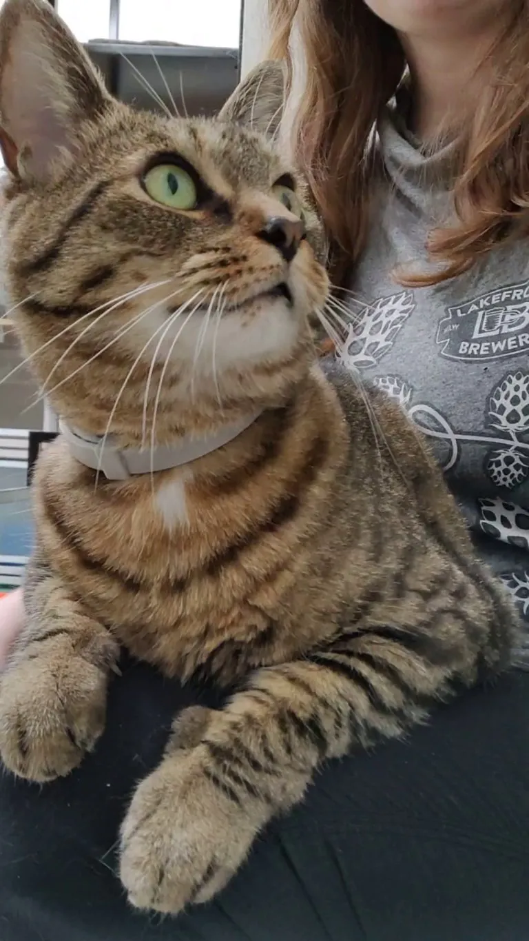 Kacey wanted to talk to the manager