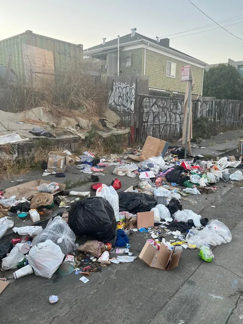As a sole volunteer, I work in my free time to help remove illegal dumping across the San Francisco Bay Area