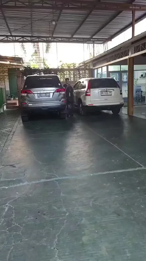 Professional Human Walker