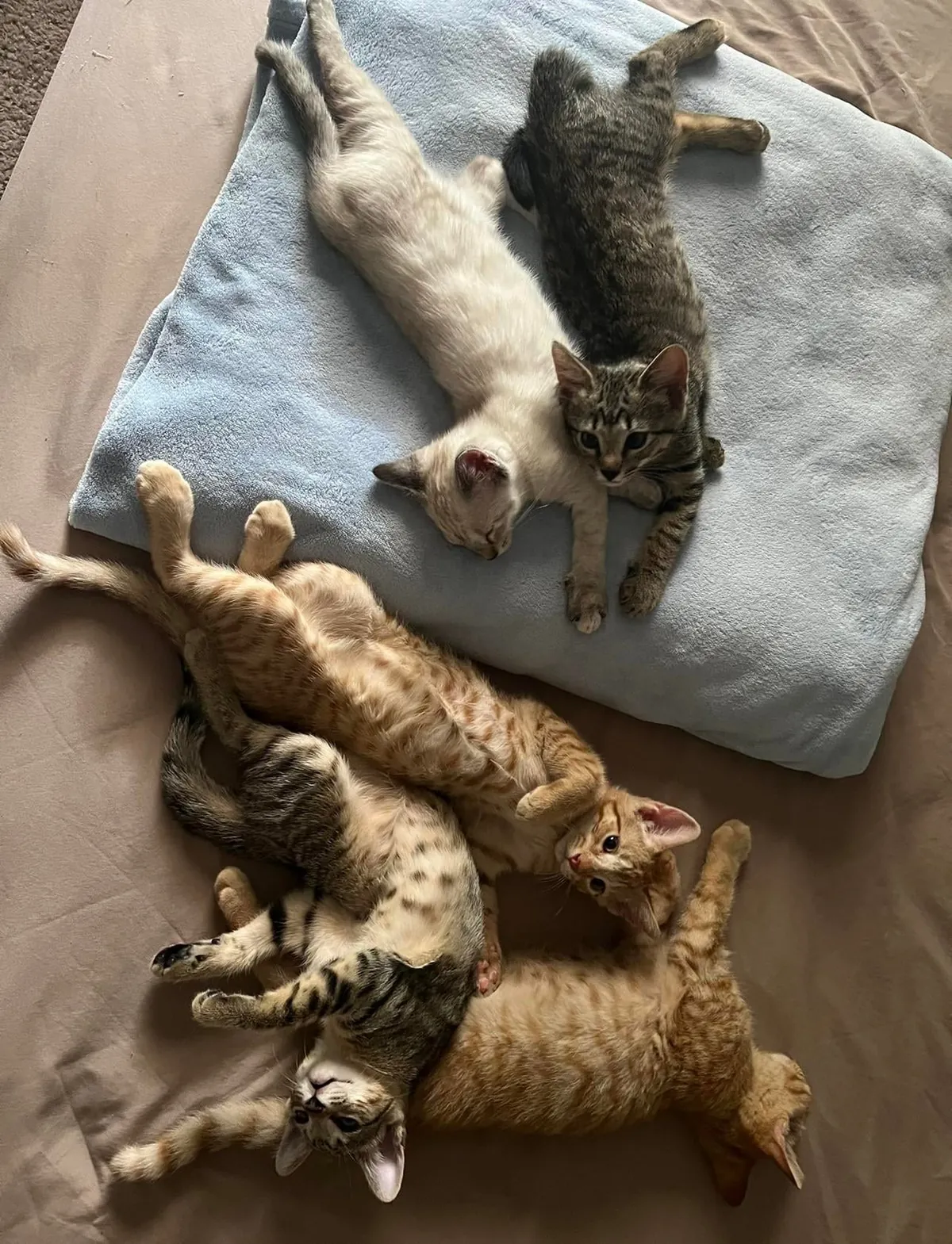 Kept the family together