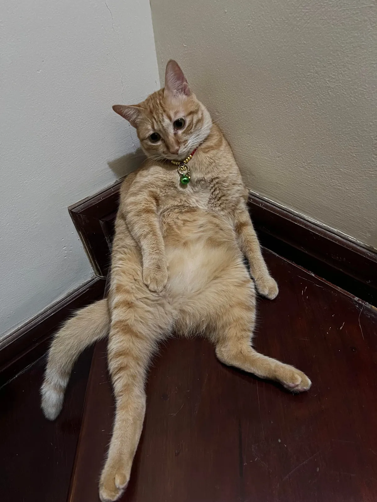 My roommate is unemployed and has a bad posture, roast him