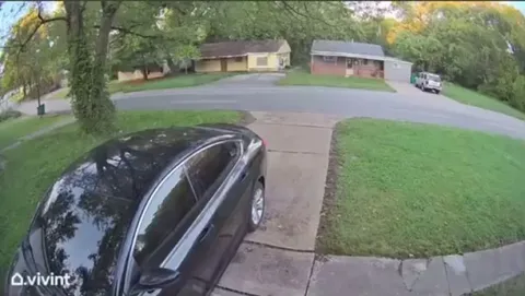 Woman has no problem with a guy jumping on her car to get away from a dog