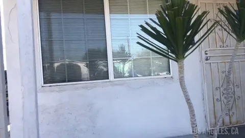 Lamar roasts Franklin but they're the actual voice actors.