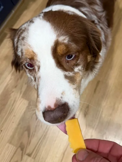 [homemade] chorizo, potato and eggs