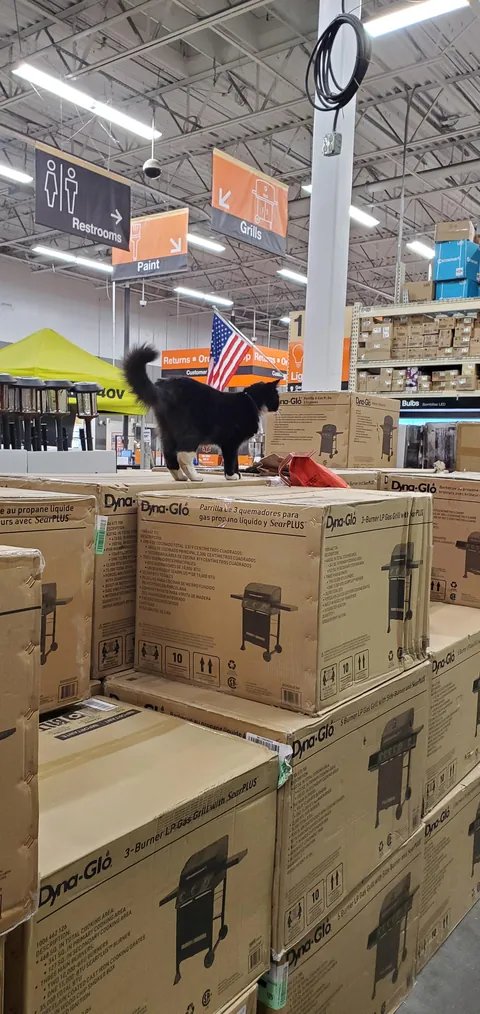 The only visible Home Depot employee in the entire store