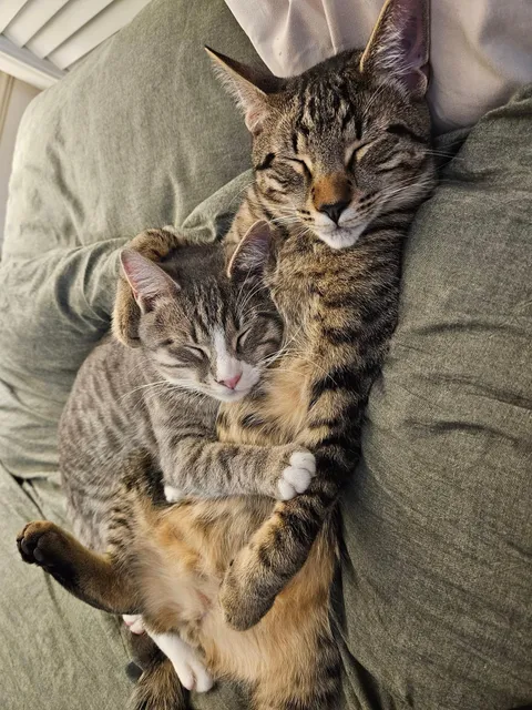 I think they’re best friends 🥺