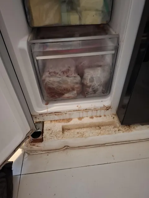 Cat accidentally pulled the plug of the fridge. Meat juice leaked out of the fridge. We we're away for 24 hours when this happened