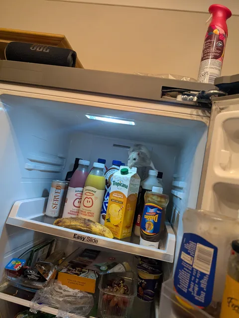 Ernie in places he shouldn't be but they get progressively funnier