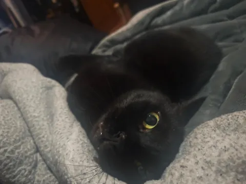 Waking up to this little face every morning