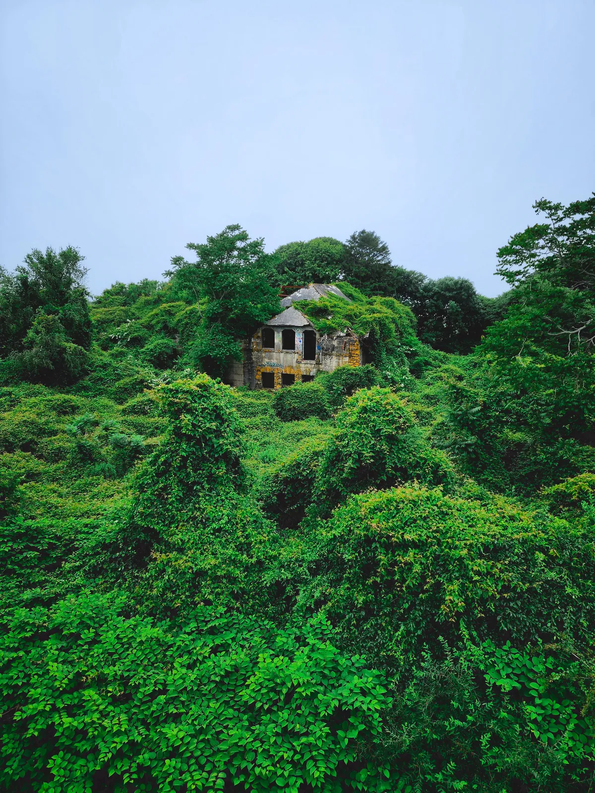 Swallowed by nature in New England