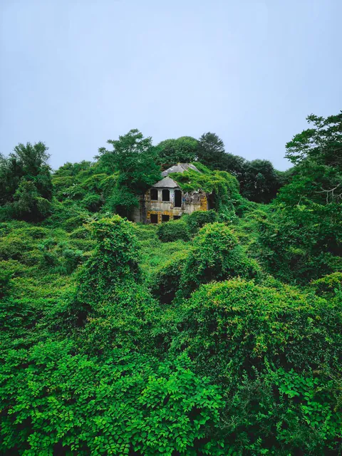 Swallowed by nature in New England