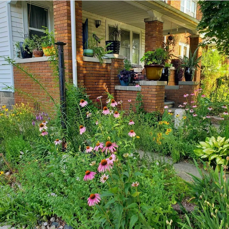 Detroit gave me a blight ticket for not mowing my lawn (I don't own a mower) so I ripped it all out and replaced.