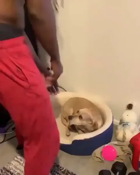 You won't take me aliiiiiive!