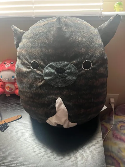 My boyfriend hand sewed a squishmallow of my dog for my birthday present