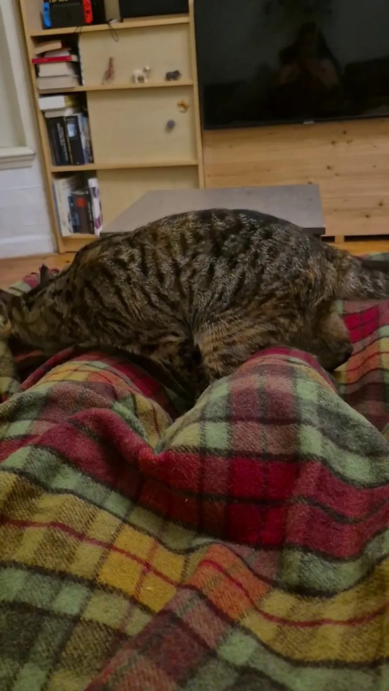 I am so lucky I have Miso to protect me from the very dangerous Monster Under the Blanket